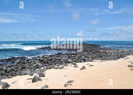 Playa de los Perros Beach auf der Insel Santa Cruz. Galapagosinseln, Ecuador. Stockfoto