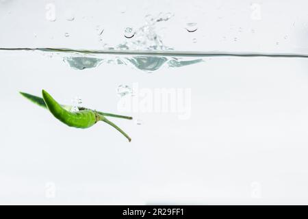 Grüne Chili, Wasserspritzer, auf weißem Hintergrund gelötet Stockfoto