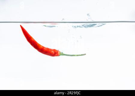 Rote Chili, Wasserspritzer, auf weißem Hintergrund gelötet Stockfoto