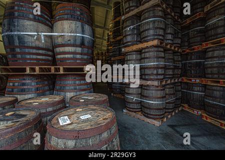 Isle of Harris of Harris Distillery: Reservierte Fässer, die im Lagerhaus an den Ufern von Loch an SLAR, Isle of Harris, Schottland, reifen. Stockfoto