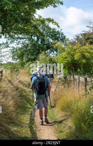 Vertikaler Blick über den öffentlichen Fußweg Cotswold Way in den Cotswolds, Großbritannien, mit mehreren Wanderer auf dem engen Pfad zwischen grünen Bäumen, Büschen und Gräsern Stockfoto