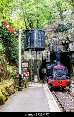 0-6-0 die Sattelpanzerlokomotive „Princess“ wartet in Haverthwaite, bevor sie den nächsten Zug nach Lakeside nimmt. Stockfoto