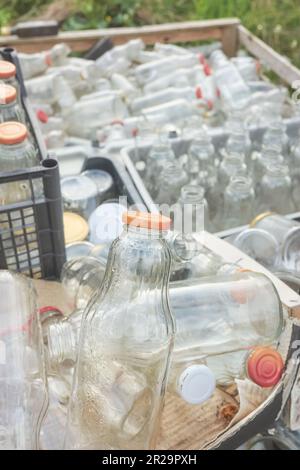 Verschiedene Arten von leeren Glasflaschen, die zum Recycling in Behältern gelagert werden, selektiver Fokus. Stockfoto