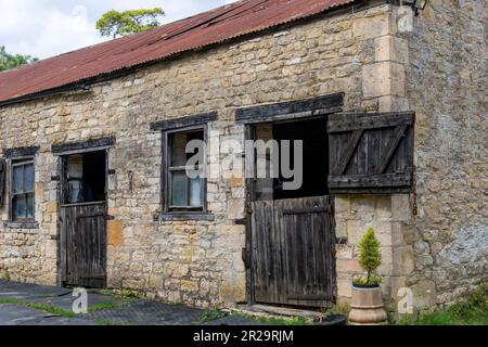 Nahaufnahme der verwitterten schwarzen Holztüren und -Fenster eines Stalls in den Cotswolds, Großbritannien mit typischen Wänden aus Kalkstein oder Cotswold-Stein Stockfoto