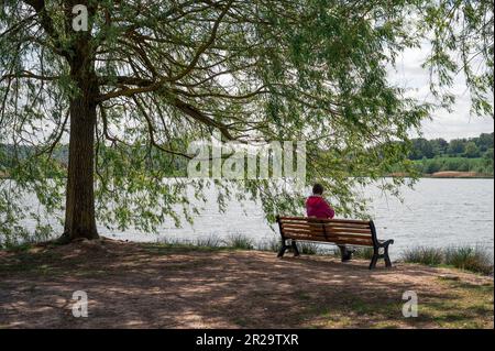 Coburg, Deutschland. 18. Mai 2023. Eine Person sitzt auf einer Bank unter einem Baum am Goldberg Lake. Der Aufstiegstag geht zurück zu Lukes Apostelakten. Außerhalb der Kirchen wird der Tag des Aufstiegs als „Vatertag“ bezeichnet. Es wird mit Gentlemen's Partys und Trinken Partys gefeiert. Kredit: Daniel Vogl/dpa/Alamy Live News Stockfoto