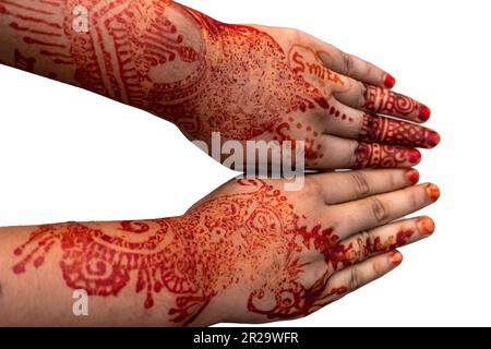 Schöne weibliche Hände mit Henna-Tattoo auf weißem Hintergrund mit Kopierbereich. Stockfoto
