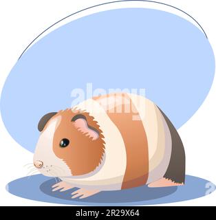 Meerschweinchen-Illustration. Tier, Ohren, Pfoten, flauschig, bunt. Bearbeitbares Vektorgrafikdesign. Stock Vektor