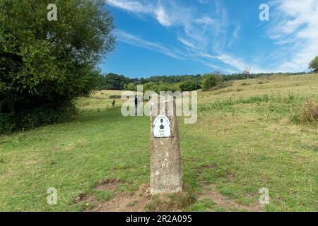 Genießen Sie die hügelige Landschaft mit Wanderer in den Cotswolds mit Steinpfeiler und Metallbeschilderung des öffentlichen Fußwegs Cotswolds Way, Cotswolds, Großbritannien, mit Akor Stockfoto