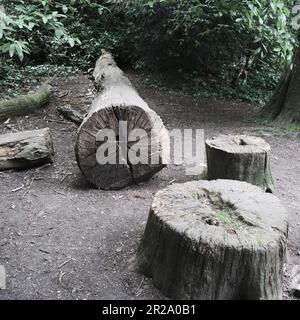 Chiswick House Stockfoto