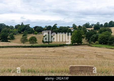 Panoramablick über sanft geschwungene landwirtschaftliche Felder mit Heuballen, Gebäuden und Bäumen entlang des öffentlichen Fußwegs Cotswold Way bei Stancombe, Dursley, Stockfoto