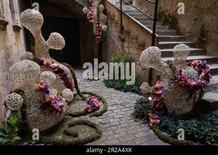 Girona Flower Show 2023 - Temps de Flors - Blumenausstellungen im historischen mittelalterlichen Viertel der katalanischen Stadt in Spanien vom 13-22. Mai 2023 Stockfoto