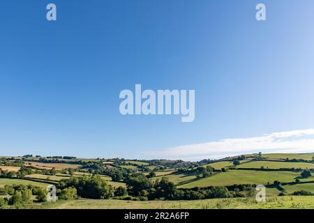 Panoramablick über sanfte landwirtschaftliche Felder in den Cotswolds entlang des öffentlichen Fußwegs Cotswolds Way in der Nähe von Cold Ashton, Großbritannien, vor einem klaren blauen Himmel Stockfoto