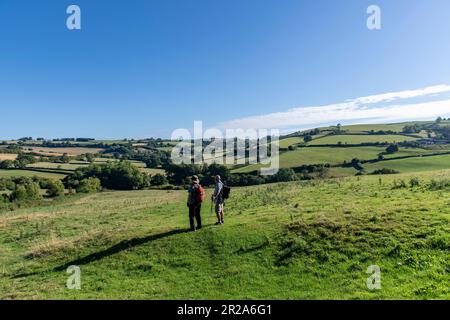 Blick über hügelige landwirtschaftliche Felder auf dem öffentlichen Fußweg Cotswolds Way in der Nähe von Cold Ashton, Großbritannien, mit zwei Wanderer, die lange Schatten in Gras werfen und ich Stockfoto