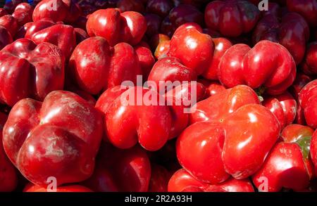 Nahaufnahme eines Stapels roter Paprika auf einem Marktstand. Stockfoto