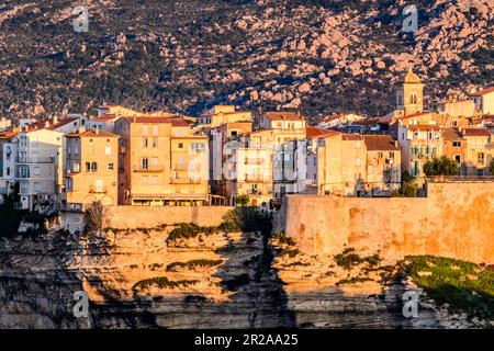 Blick von den Klippen auf Bonifacio in warmem Licht, Korsika Stockfoto