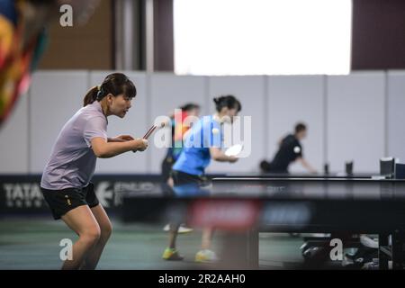 Durban, Südafrika. 18. Mai 2023. Chen Xingtong (1. l) aus China nimmt am 18. Mai 2023 an einer Schulung für die ITTF Table Tennis World Championships Finals 2023 in Durban, Südafrika, Teil. Kredit: Han Xu/Xinhua/Alamy Live News Stockfoto