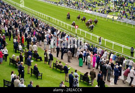 Great State Ridted by Oisin Murphy (unten rechts) gewinnt die britischen Einsätze zum 40. Jahrestag von Westow am zweiten Tag des Dante Festivals 2023 auf der York Racecourse. Foto: Donnerstag, 18. Mai 2023. Stockfoto