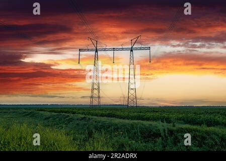 Überlandleitung auf einem Übertragungsturm auf dem Feld der jungen Sonnenblumen bei farbenfrohem Sonnenuntergang in der Ukraine. Landschaftlich reizvolle Abendlandschaft der Ukraine Stockfoto