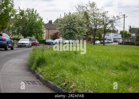 Harrow council nimmt im Mai 2023 an NO MOW MAY, einer Plantlife-Initiative, Teil. Hier ist Coppice Close im Londoner Bezirk HA7 Stanmore Harrow Stockfoto