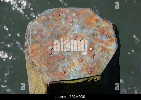 Ein paar Münzen liegen auf einer Stange in der deutschen Ostsee Stockfoto