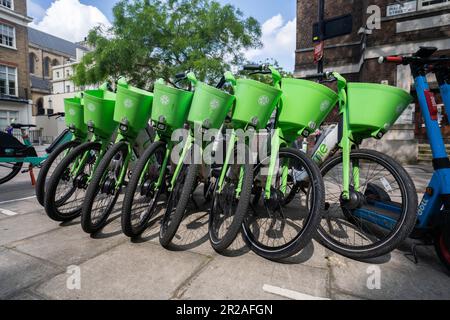 London UK. 18. Mai 2023 Lime E-Leihfahrräder. Verleihfirmen für Elektrofahrräder wie Lime by Uber, Human Forest und dott haben im Gegensatz zu Santander keine Parkbuchten. Der Westminster Council arbeitet an Plänen, um Fahrern, die ihre gemieteten Fahrräder nicht ordnungsgemäß parken können, eine Strafe zu zahlen, die Fußgänger und Rollstuhlfahrer behindern kann. Kredit: amer Ghazzal/Alamy Live News Stockfoto