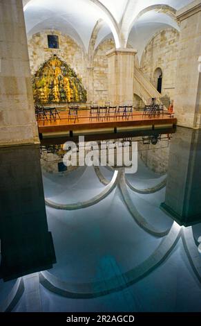 Māe d'Agua-Reservoir in Amoreiras mit Reflexionen in das tiefe Wasser Stockfoto