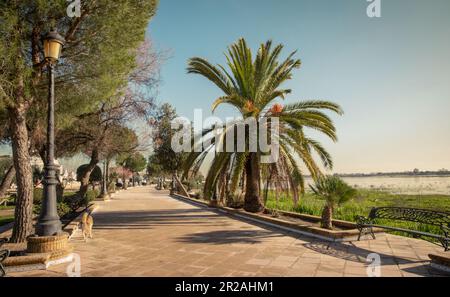 el rocio, eine Pilgerstadt und Pferdestadt in Andalusien Stockfoto