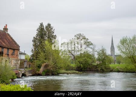 Blick auf die Kathedrale von Salisbury über den Fluss Avon Wiltshire England Stockfoto