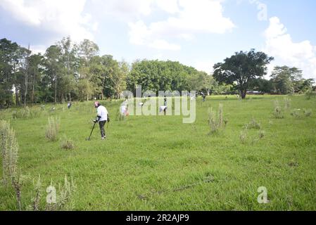 Stadt:Marilia, Sao Paulo, Brasilien, 25. März 2023: Männer und Frauen in der Detektorkampagne mit Metalldetektoren auf einem grasbedeckten Grundstück mit Bäumen im Ba Stockfoto