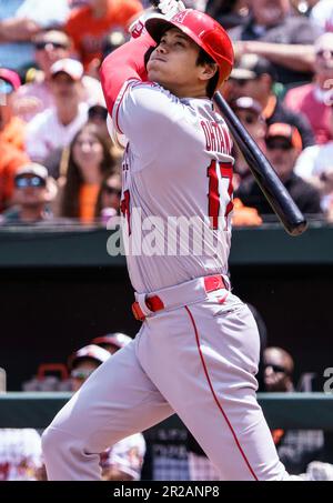 Baltimore, USA. 18. Mai 2023. BALTIMORE, MD - MAI 18: Während eines MLB-Spiels zwischen den Baltimore Orioles und den Los Angeles Angels am 18. Mai 2023 im Orioles Park in Camden Yards in Baltimore, Maryland. (Foto: Tony Quinn/SipaUSA) Guthaben: SIPA USA/Alamy Live News Stockfoto