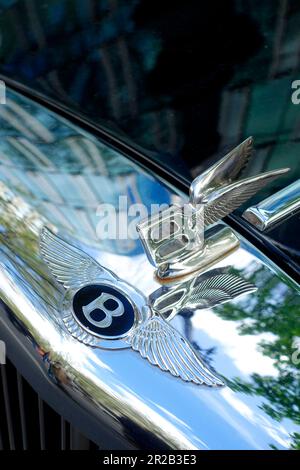 Jaguar, Classic Days 2023, Berlin, Deutschland Stockfoto