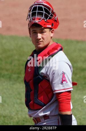 Baltimore, USA. 18. Mai 2023. BALTIMORE, MD - MAI 18: Der Fänger der Los Angeles Angels Chad Wallach (35) sucht während eines MLB-Spiels zwischen den Baltimore Orioles und den Los Angeles Angels am 18. Mai 2023 im Orioles Park at Camden Yards in Baltimore, Maryland nach Anweisungen. (Foto: Tony Quinn/SipaUSA) Guthaben: SIPA USA/Alamy Live News Stockfoto