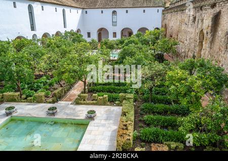 CORDOBA, SPANIEN - 16. FEBRUAR 2014: Blick auf den Innenhof der Moriscos (auch bekannt als Mudejar-Innenhof) im Alcazar de los Reye Stockfoto