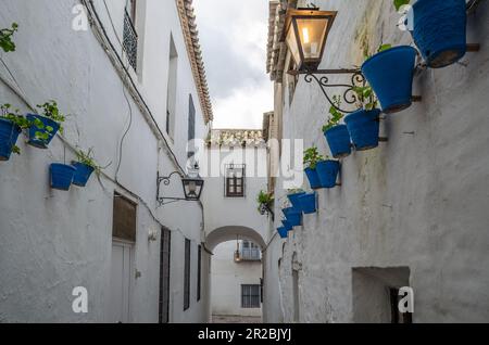 Dekorative Blumentöpfe an den Wänden in den Straßen von Cordoba, Andalusien, Südspanien Stockfoto