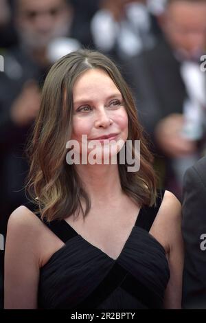 Cannes, Frankreich. 18. Mai 2023. CANNES, FRANKREICH - MAI 18: Calista Flockhart besucht den roten Teppich „Indiana Jones and the Dial of Destiny“ während des 76. Jährlichen Filmfestivals in Cannes am 18. Mai 2023 im Palais des Festivals in Cannes, Frankreich. Kredit: dpa/Alamy Live News Stockfoto