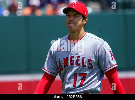 Baltimore, USA. 18. Mai 2023. BALTIMORE, MD - 18. MAI: Los Angeles Angels starten Pitcher Shohei Ohtani (17) auf dem Feld vor einem MLB-Spiel zwischen den Baltimore Orioles und den Los Angeles Angels am 18. Mai 2023 im Orioles Park at Camden Yards in Baltimore, Maryland. (Foto: Tony Quinn/SipaUSA) Guthaben: SIPA USA/Alamy Live News Stockfoto