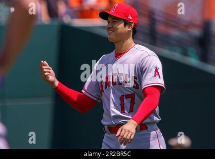 Baltimore, USA. 18. Mai 2023. BALTIMORE, MD - 18. MAI: Los Angeles Angels starten Pitcher Shohei Ohtani (17) auf dem Feld vor einem MLB-Spiel zwischen den Baltimore Orioles und den Los Angeles Angels am 18. Mai 2023 im Orioles Park at Camden Yards in Baltimore, Maryland. (Foto: Tony Quinn/SipaUSA) Guthaben: SIPA USA/Alamy Live News Stockfoto