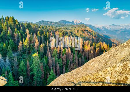 Blick vom Moro Rock im Sequoia-Nationalpark in Kalifornien, USA Stockfoto