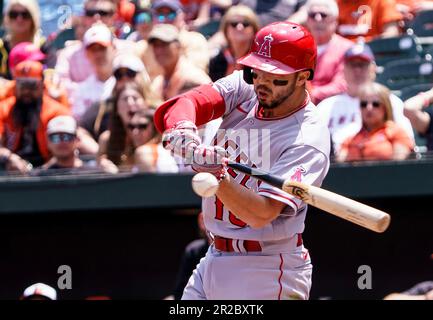 Baltimore, USA. 18. Mai 2023. BALTIMORE, MD - MAI 18: Kurzstop der Los Angeles Angels Livan Soto (13) nimmt während eines MLB-Spiels zwischen den Baltimore Orioles und den Los Angeles Angels Kontakt auf, am 18. Mai 2023 im Orioles Park at Camden Yards in Baltimore, Maryland. (Foto: Tony Quinn/SipaUSA) Guthaben: SIPA USA/Alamy Live News Stockfoto