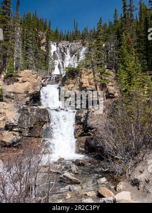 Wasserfall, Ice Field Parway, alberta, kanada Stockfoto