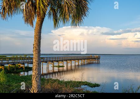 Ecopassage Observation Boardwalk im Paynes Prairie Preserve State Park entlang der U.S. Highway 441 in Micanopy, Florida, in der Nähe von Gainesville bei Sonnenuntergang. (USA) Stockfoto