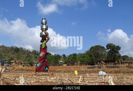 Mumbai, Maharashtra, Indien. 16. Mai 2023. Eine Frau balanciert Wassertöpfe auf ihrem Kopf, während sie im Telamwadi-Dorf in der Nähe von Vihigaon, Shahapur-Taluka im Thane-Viertel in der Nähe von Mumbai nach Hause geht. Die Dorfbewohner sind während der Sommermonate mit akuter Wasserknappheit konfrontiert, da sie durch einen Wassertransporter, der nur einmal am Tag Wasser in den Brunnen entlädt, Wasser erhalten, was für sie und ihre Rinder für den täglichen Gebrauch nicht ausreicht. (Kreditbild: © Ashish Vaishnav/SOPA Images via ZUMA Press Wire) NUR REDAKTIONELLE VERWENDUNG! Nicht für den kommerziellen GEBRAUCH! Stockfoto