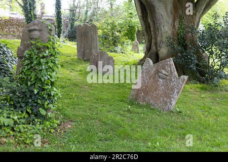 Der Friedhof in der Saint Fin Barre's Cathedral in Cork City, Irland. Stockfoto