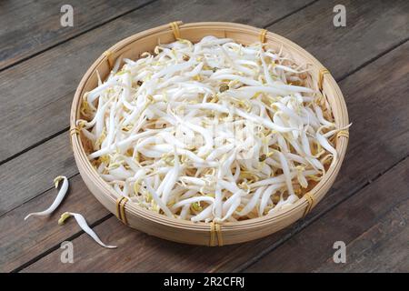 Ein Haufen frischer Bohnensprossen oder Taugeh aus Mungbohnen. Aus Bohnen mit Keimen hergestellt, ist es eine häufige Zutat in der asiatischen Küche. Stockfoto