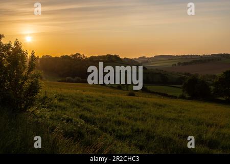 Goldene Stunde bei Sonnenaufgang über den sanften Hügeln der niederländischen Provinz Limburg in der Nähe des Dorfes Fromberg, einer typischen regionalen Landwirtschaft Stockfoto