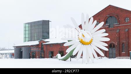 Turku, Finnland - 17. Januar 2016: Riesige Kamillenblüteninstallation vor dem Museum Forum Marinum an einem Wintertag Stockfoto