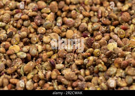 Sumac-Samen. Getrocknete Sumakbeeren, isoliert auf weißem Hintergrund. Gewürzkonzept. Lebensmittelhintergrund. Schließen Stockfoto