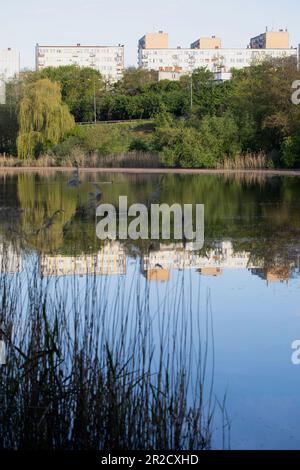 Jezioro Winiary - Gniezno, Polen - Wasserreflexionen, Wohnhaus aus Beton, in einem See reflektiert. Stockfoto