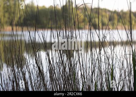 Jezioro Winiary - Gniezno, Polen - Wasserreflexionen, Wohnhaus aus Beton, in einem See reflektiert. Stockfoto