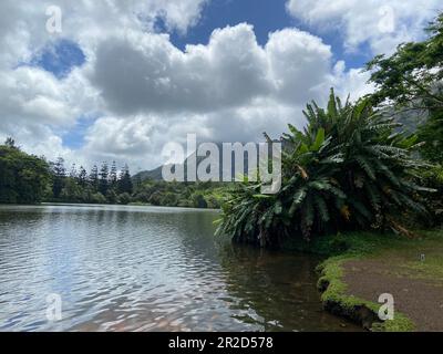 Eindrücke von Hawaii Stockfoto